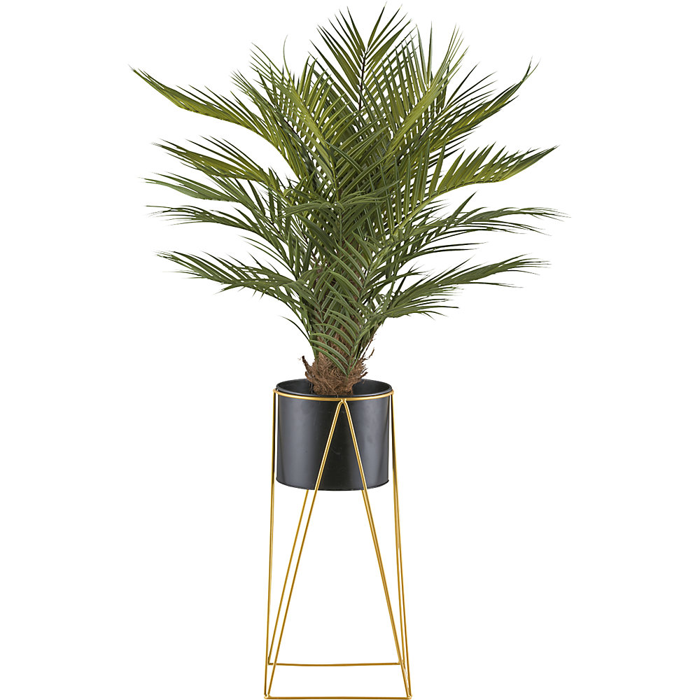 Arecapalm, metalen pot, hoogte 1100 mm