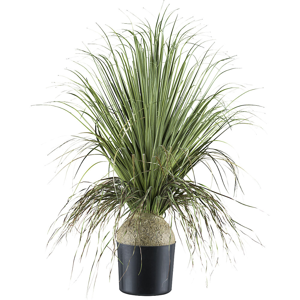 Kunstmatige plant Beaucarnea, kunststofpot, hoogte 680 mm
