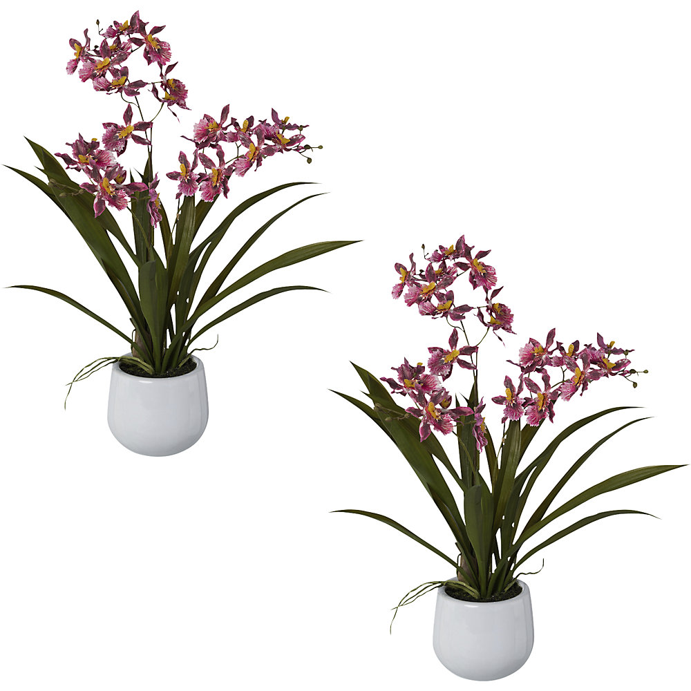 Kunstplant Cambria-orchidee, VE = 2 stuks, hoogte 500 mm