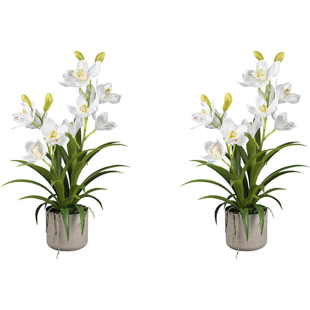 Kunstmatige orchidee cymbidium, VE = 2 stuks, hoogte 580 mm
