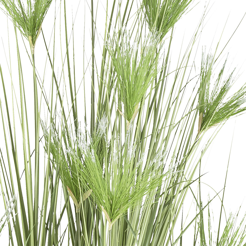 kaiserkraft Künstliche Pflanze Cyperus longus Gras, Kunststofftopf, Höhe 2100 mm 2