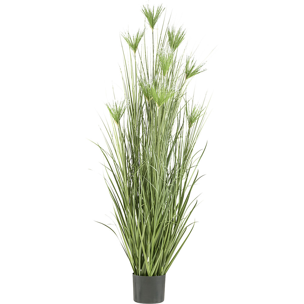 Kunstplant Cyperus longus gras, kunststofpot, hoogte 2100 mm
