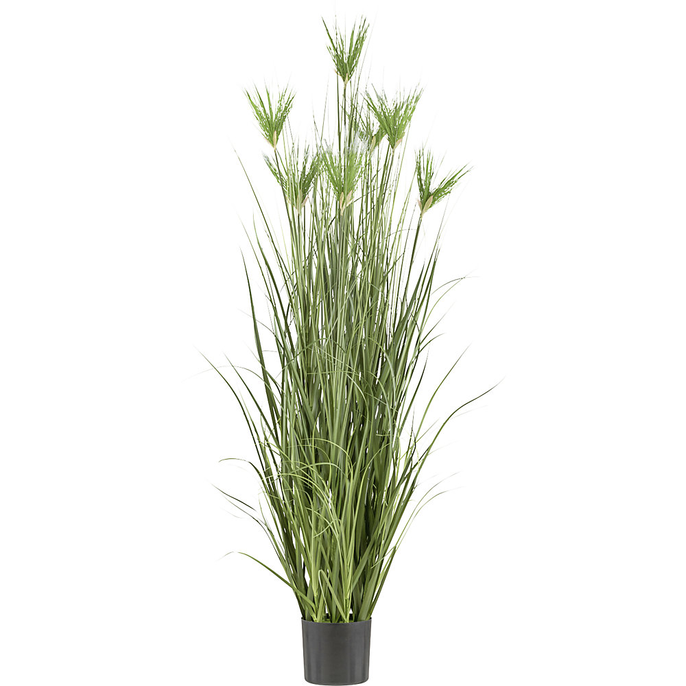 Kunstplant Cyperus longus gras, kunststofpot, hoogte 1800 mm