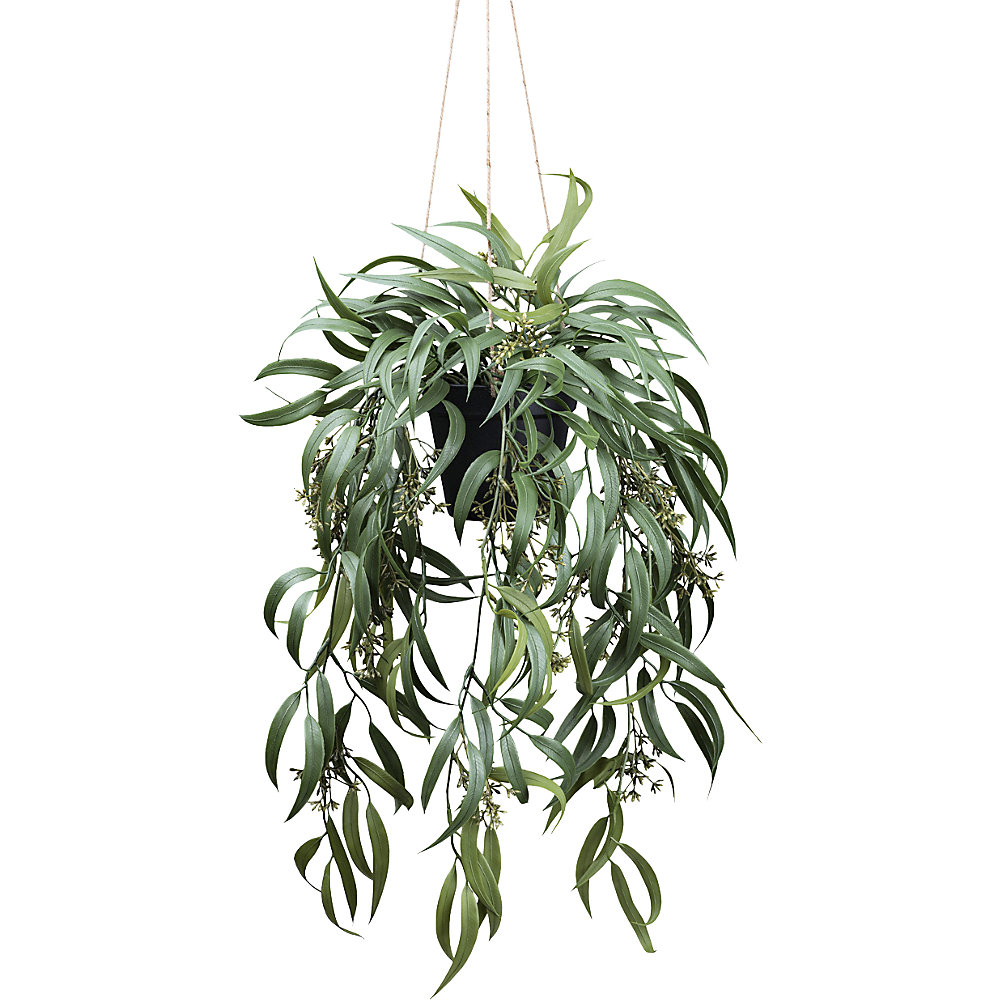 kaiserkraft Künstliche Pflanze Eukalyptus globolus mit Fruchtstand, 2er-Set, Kunststofftopf, Höhe 650 mm 2