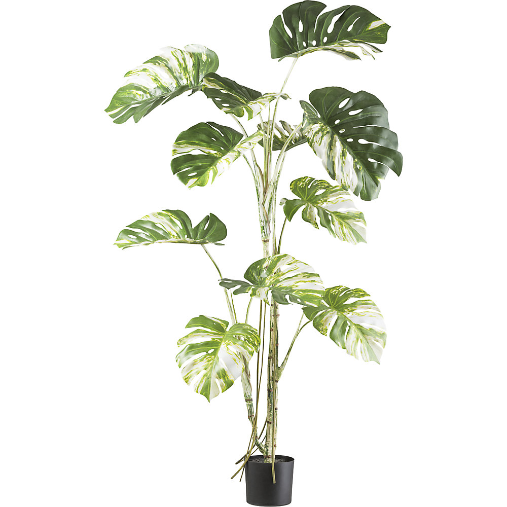 kaiserkraft Künstliche Pflanze Monstera deliciosa, Kunststofftopf, Blattfarbe grün, Höhe 1600 mm