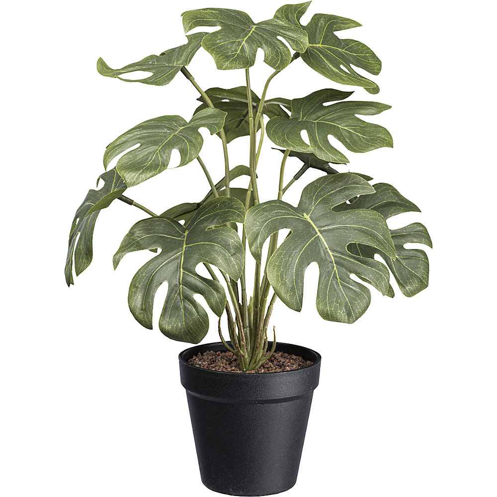 kaiserkraft Künstliche Pflanze Splitphilodendron, Kunststofftopf, VE 3 Stk, Höhe 380 mm 2