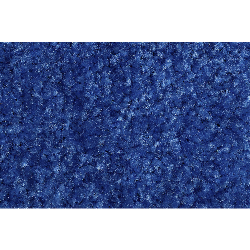 Schmutzfangmatte EAZYCARE COLOR, für innen, LxB 900 x 1500 mm, blau Miltex 2