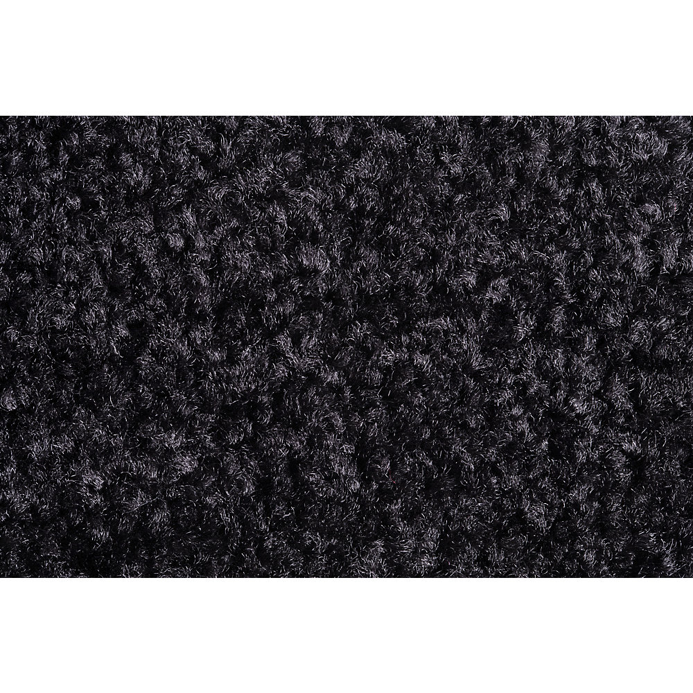 Schmutzfangmatte EAZYCARE COLOR, für innen, LxB 900 x 1500 mm, schwarz Miltex 2