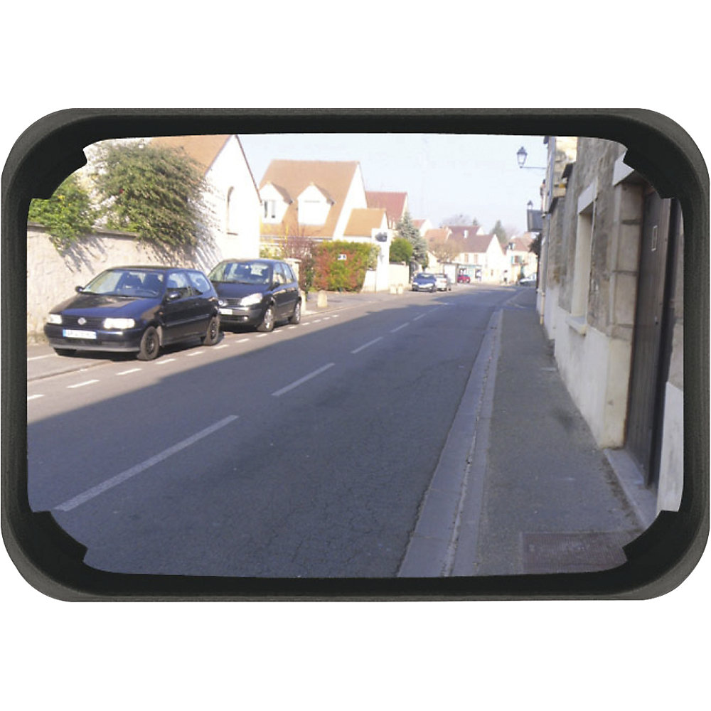 P.A.S. Vialux Industrial Mirror Black 60x40cm