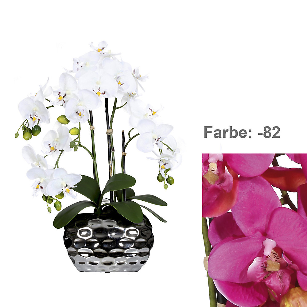 Phalaenopsis dans un vase ovale