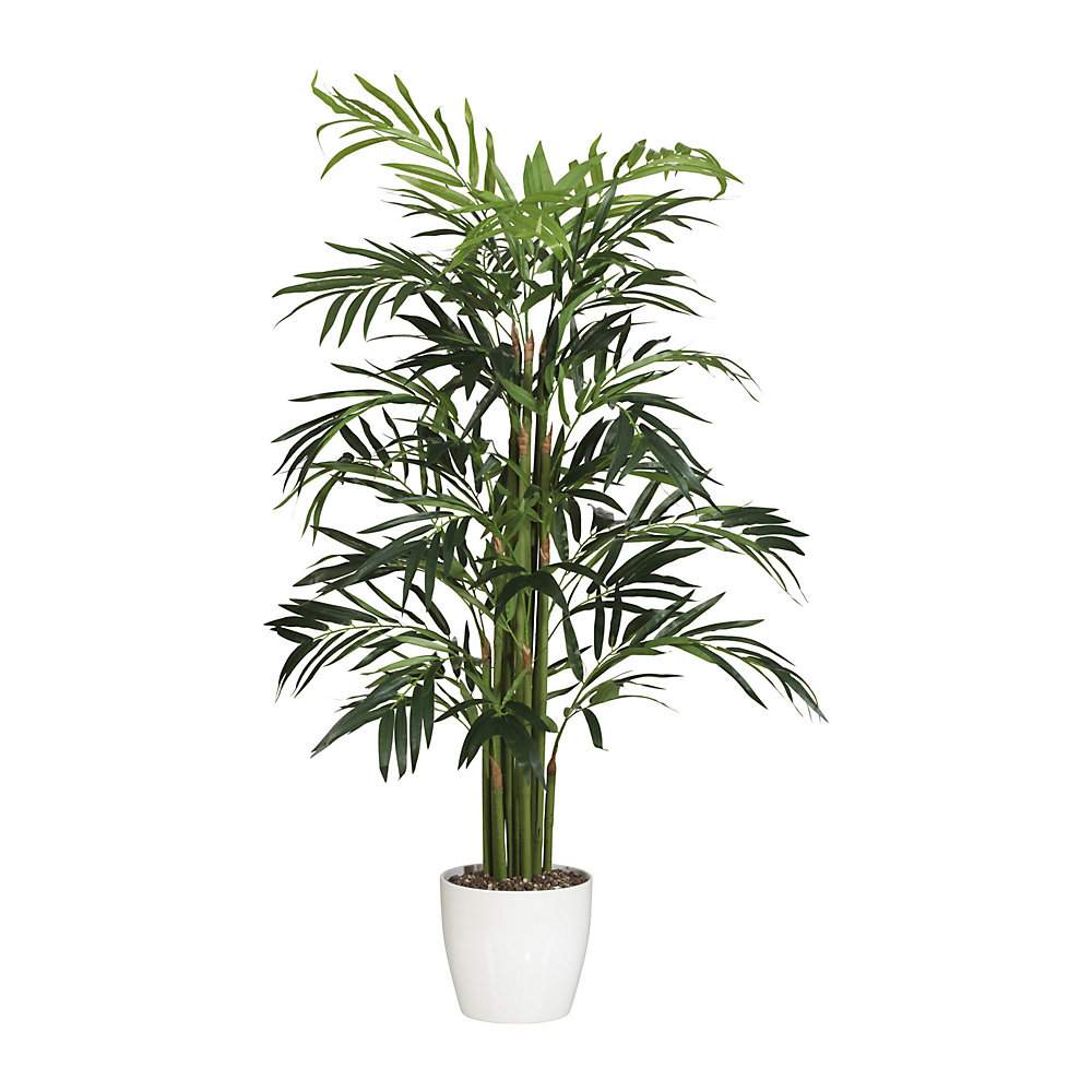 Palmier bambou, realtouch