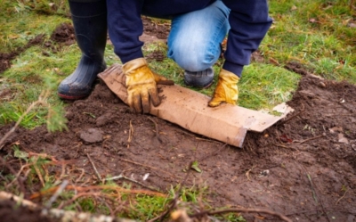 Why Should You Recycle Cardboard Boxes? | BiG BLOG ler