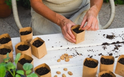 Why Should You Recycle Cardboard Boxes? | BiG BLOG ots