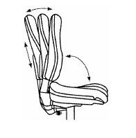 Enciclopedia para sentarse de forma saludable en la oficina wt$